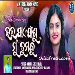 Bhala Pae Jisu Mu Thumaku